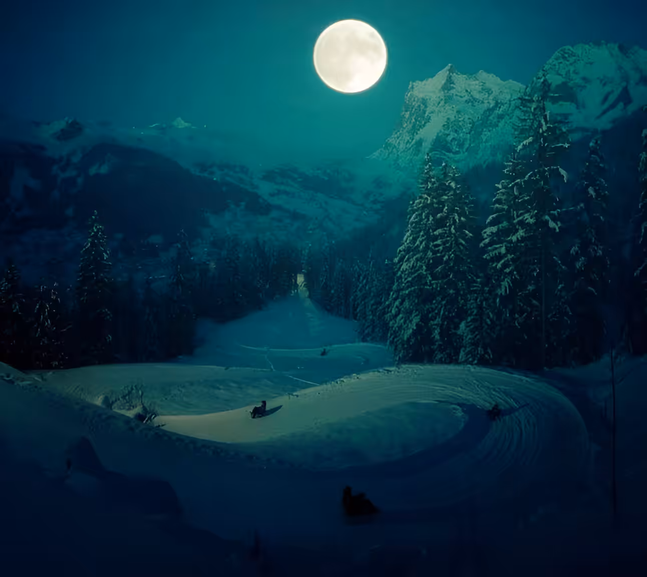 Bobsledding under the moonlight 🌙