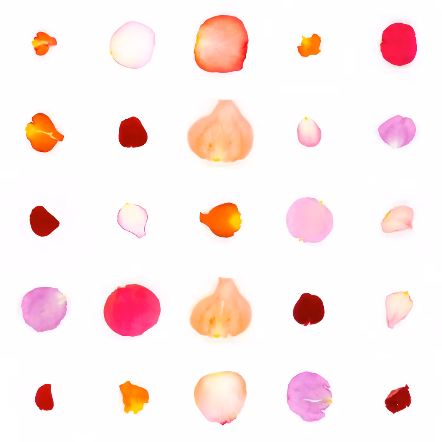 Infinite Petals 5x5#2378