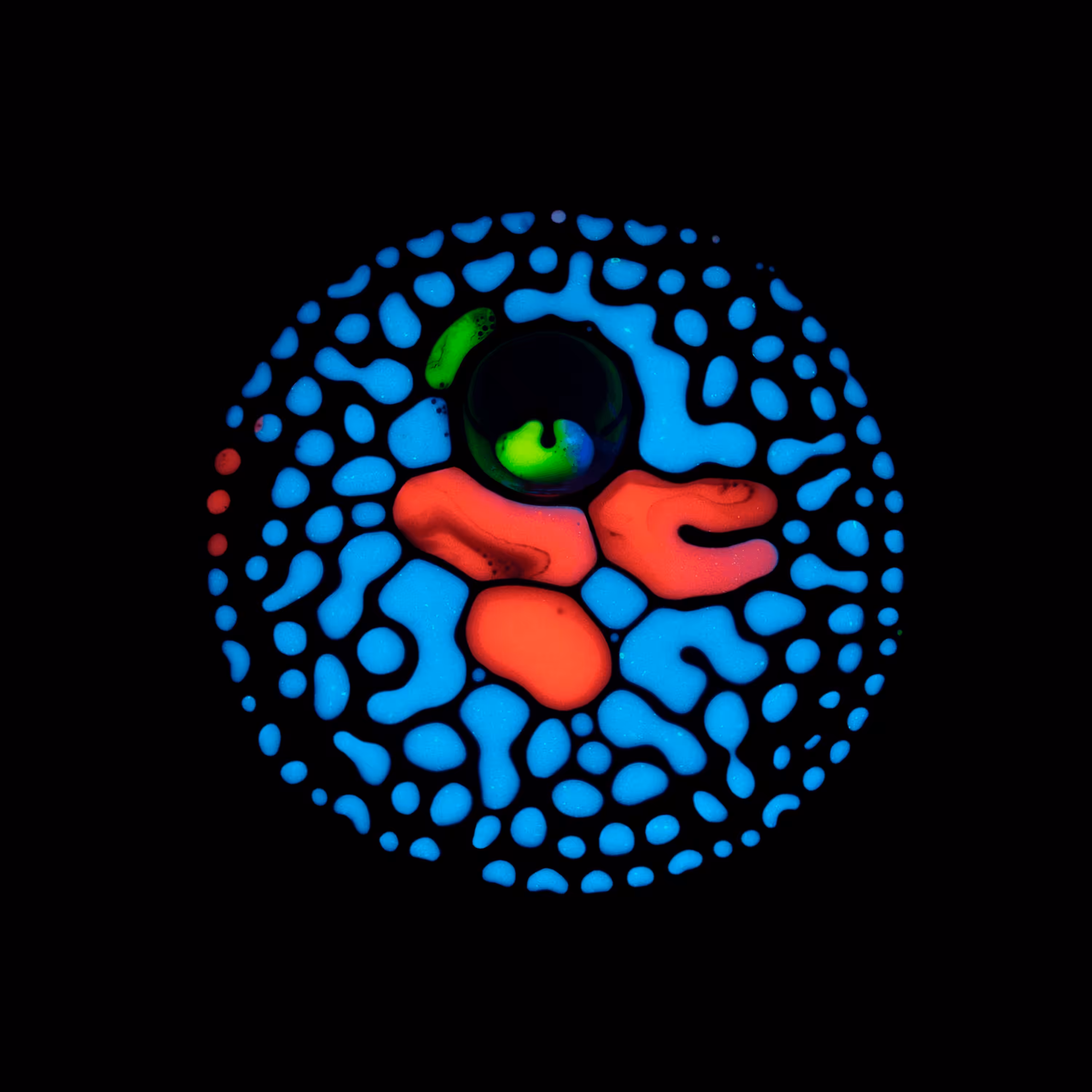 Haematopoiesis #68