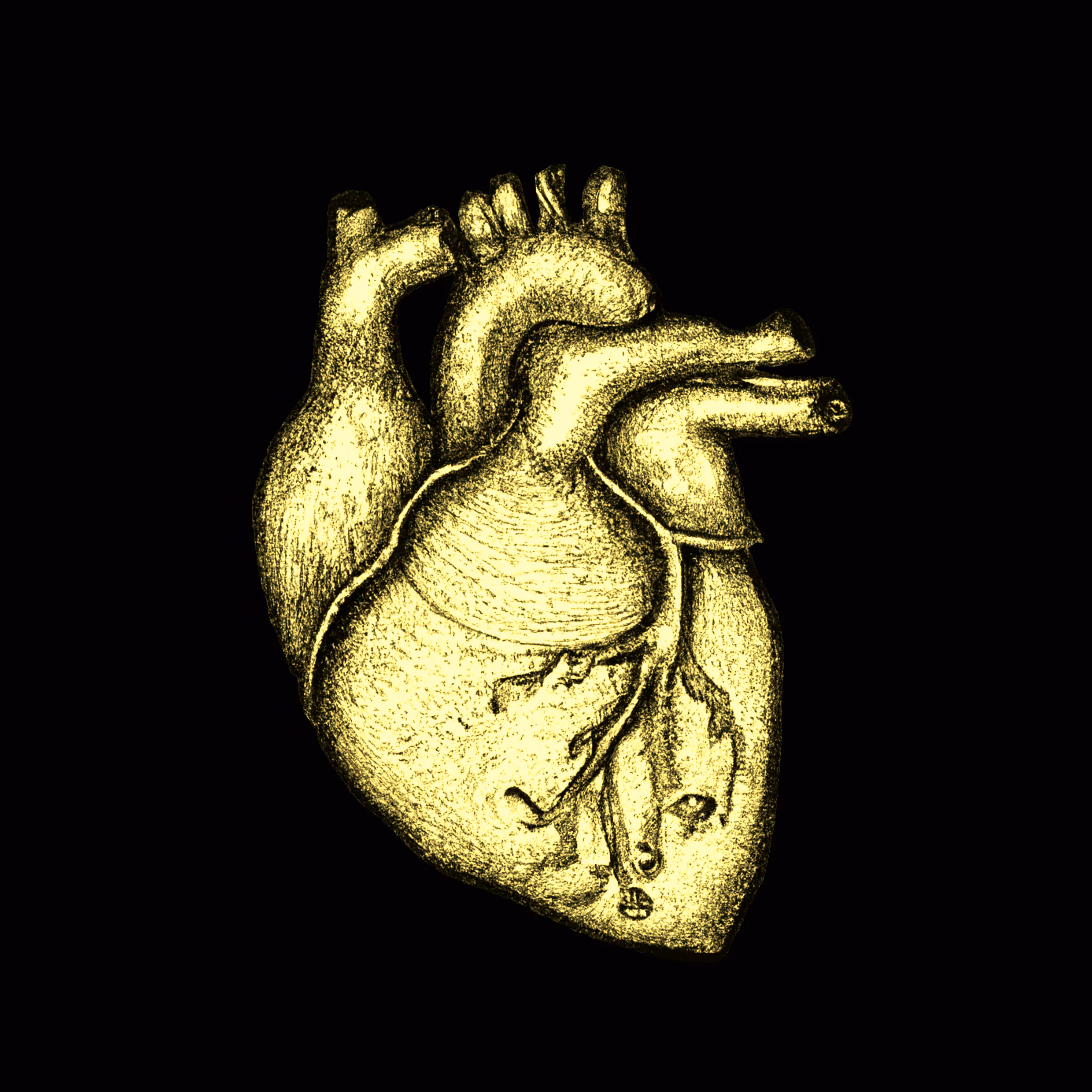 Heart of Gold II