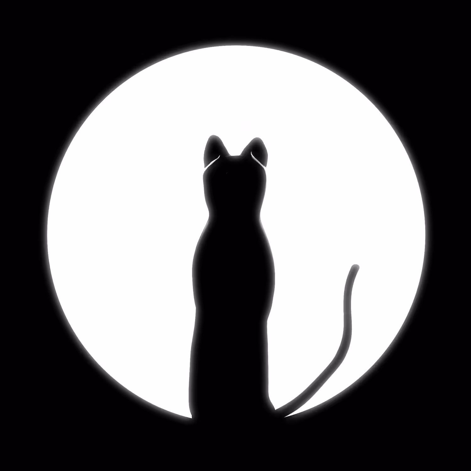 moon kitty