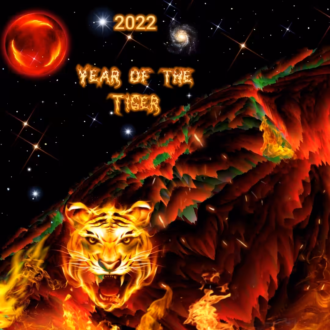 2022 Year of the Tiger - Memetok Mania #6 