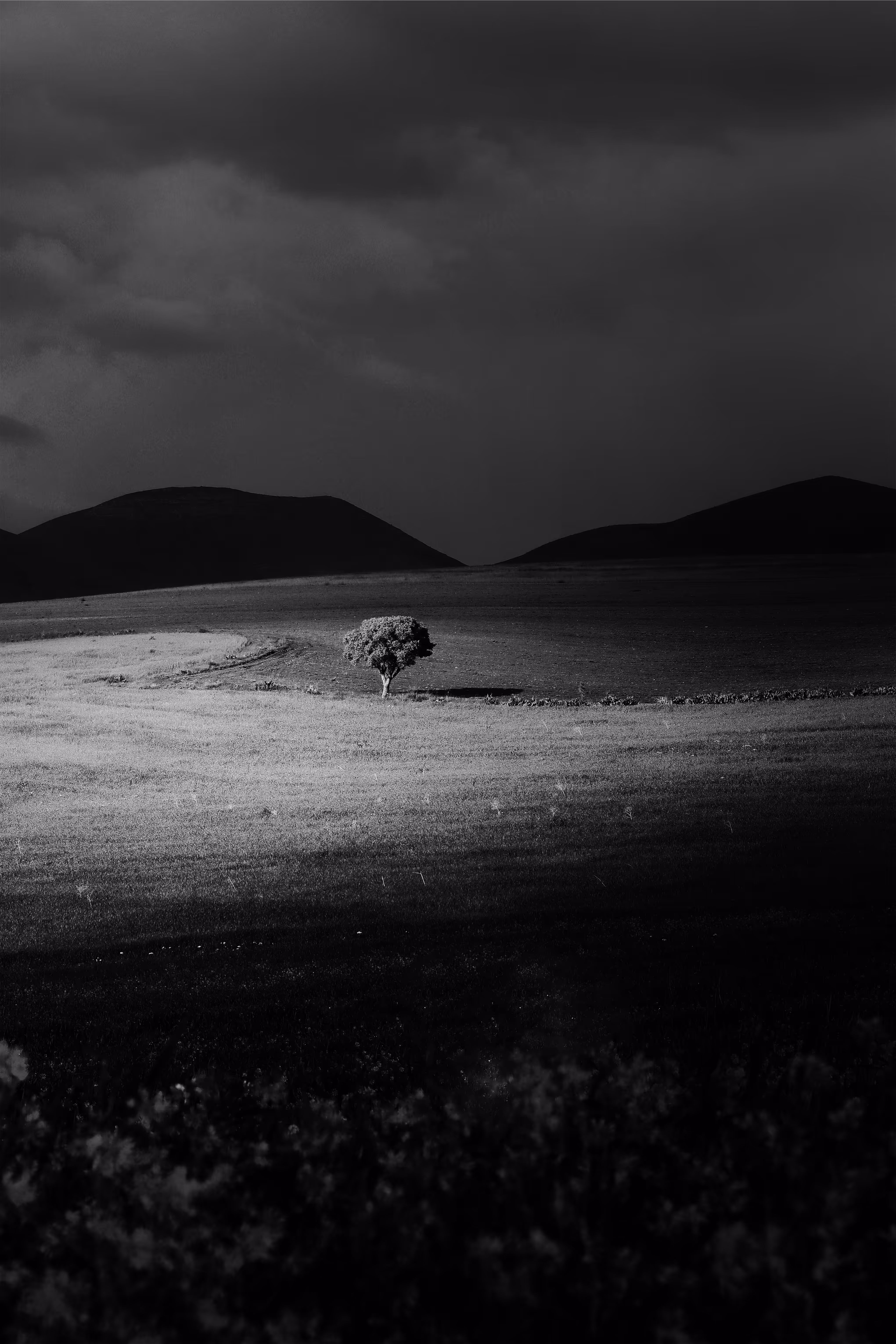 Dark day