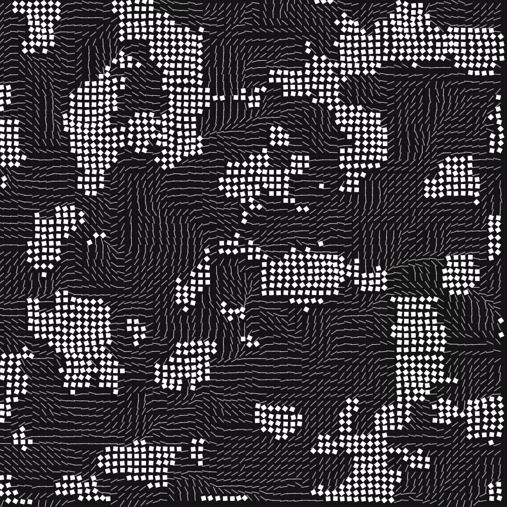 Geometric Fluidity #855