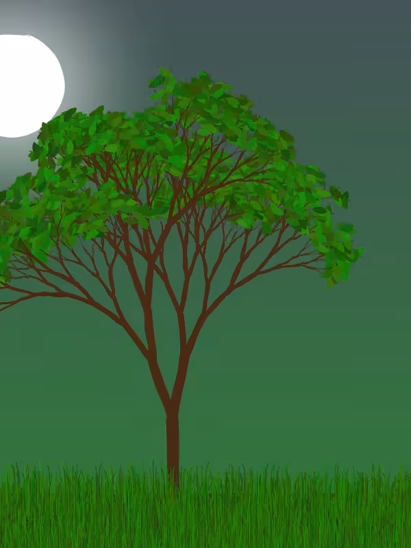 Scent of Nature #13