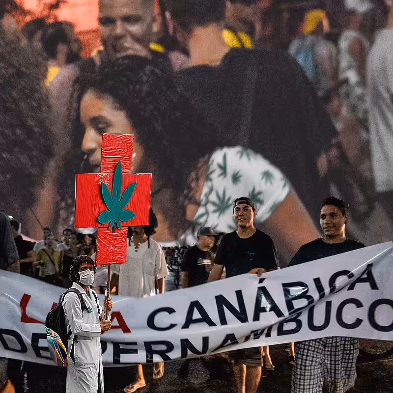 marijuana march #29