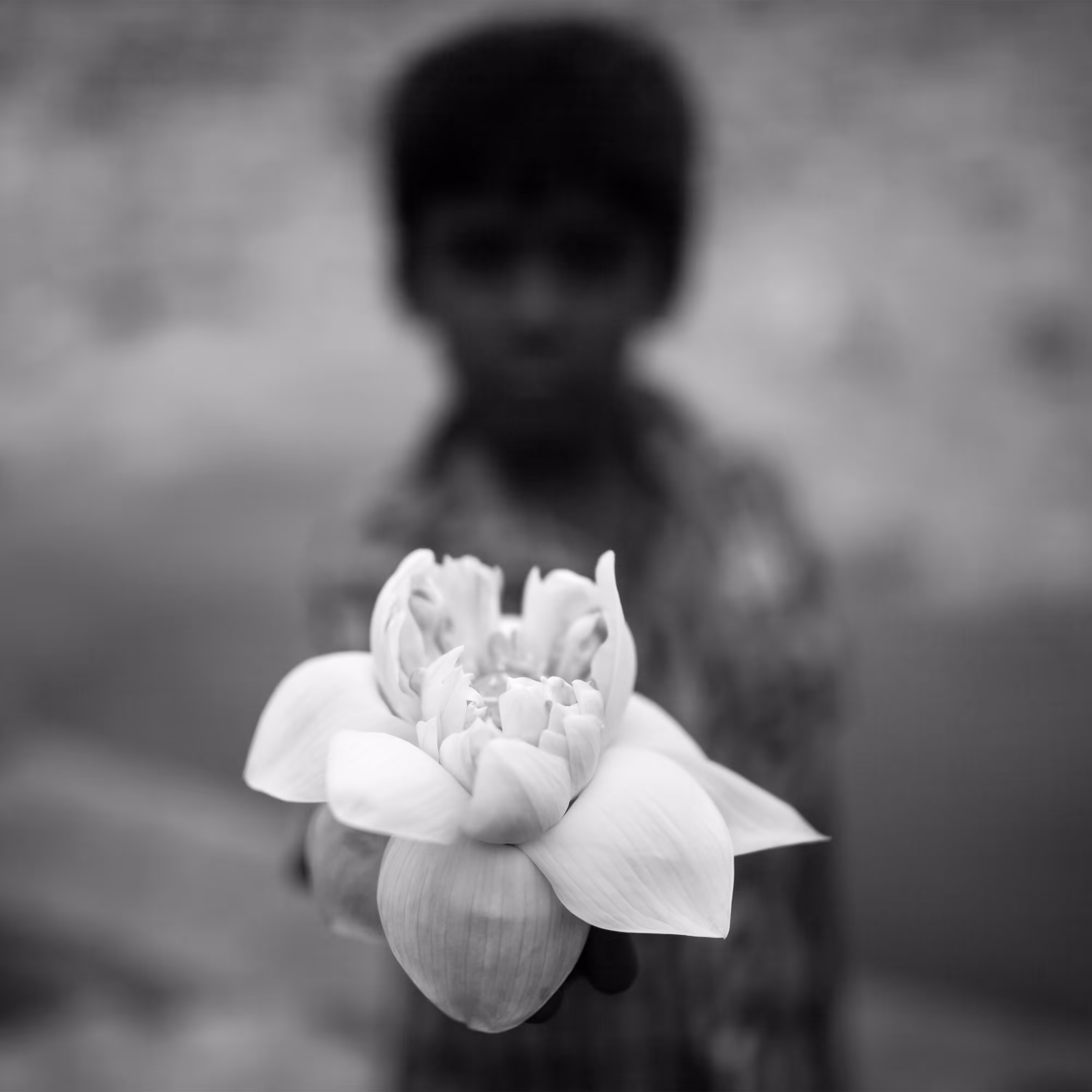 A Boy with a flower
