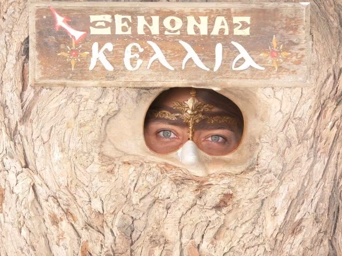Behind the tree hole #tezportraitday
