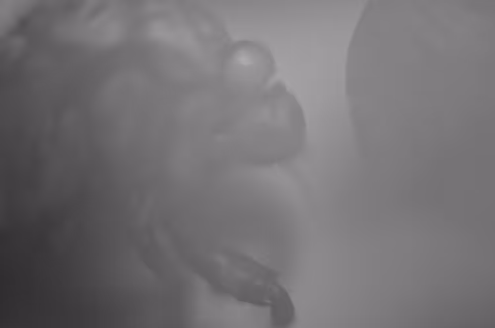 Cicadas 8376 #1
