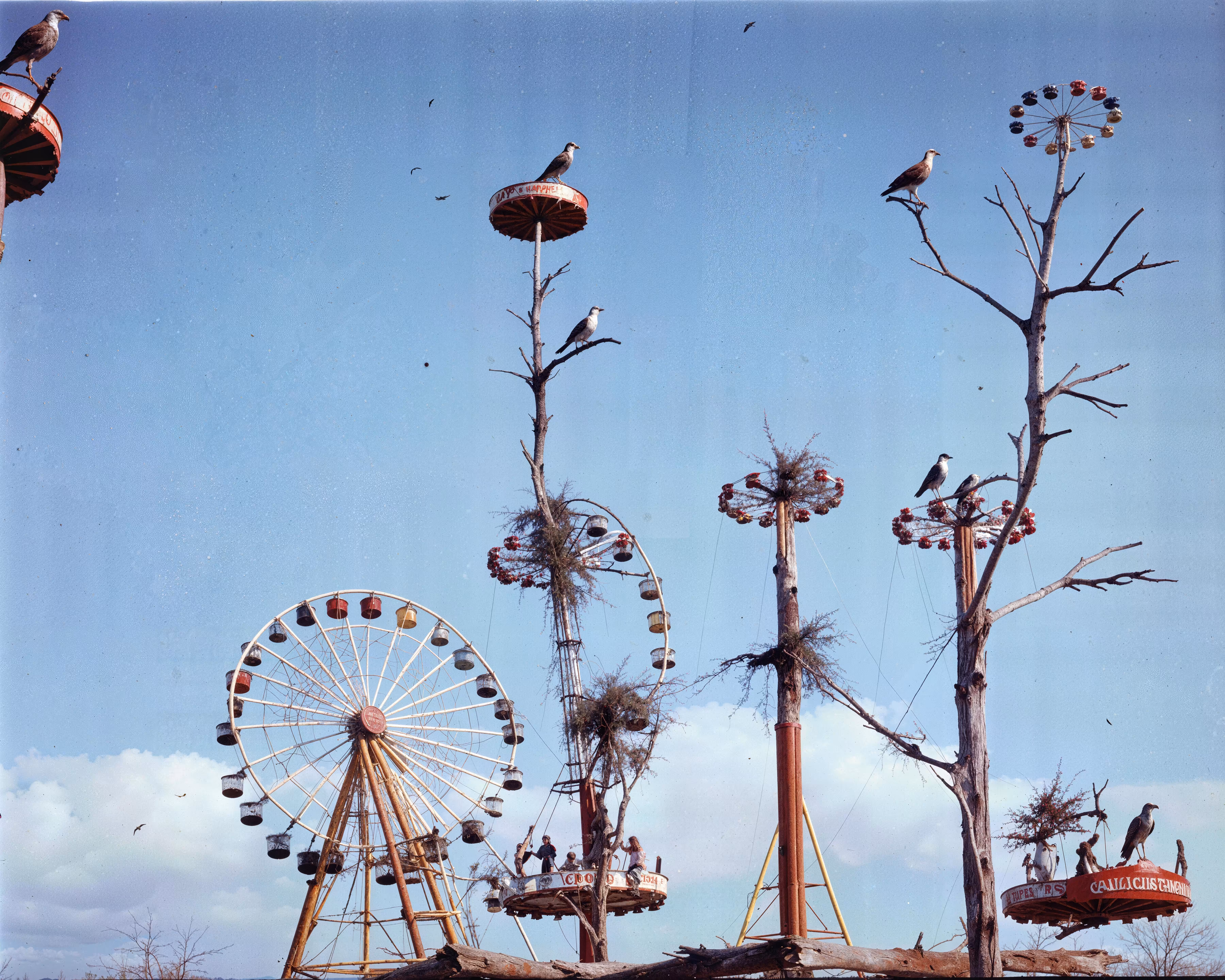 Empire: The Bird’s Nest