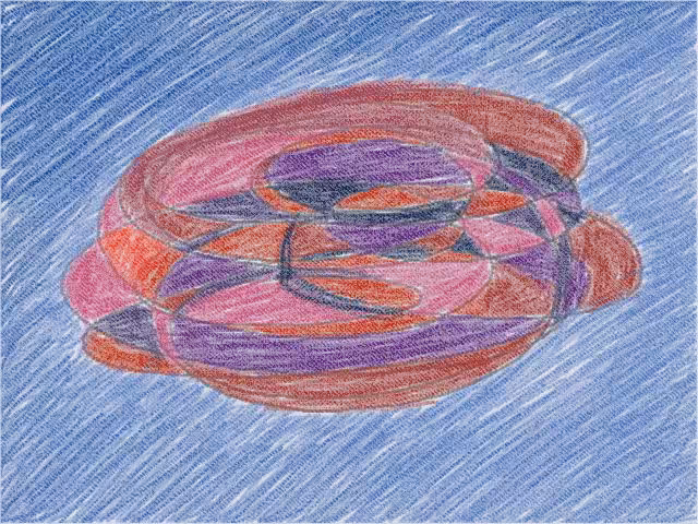 cerids