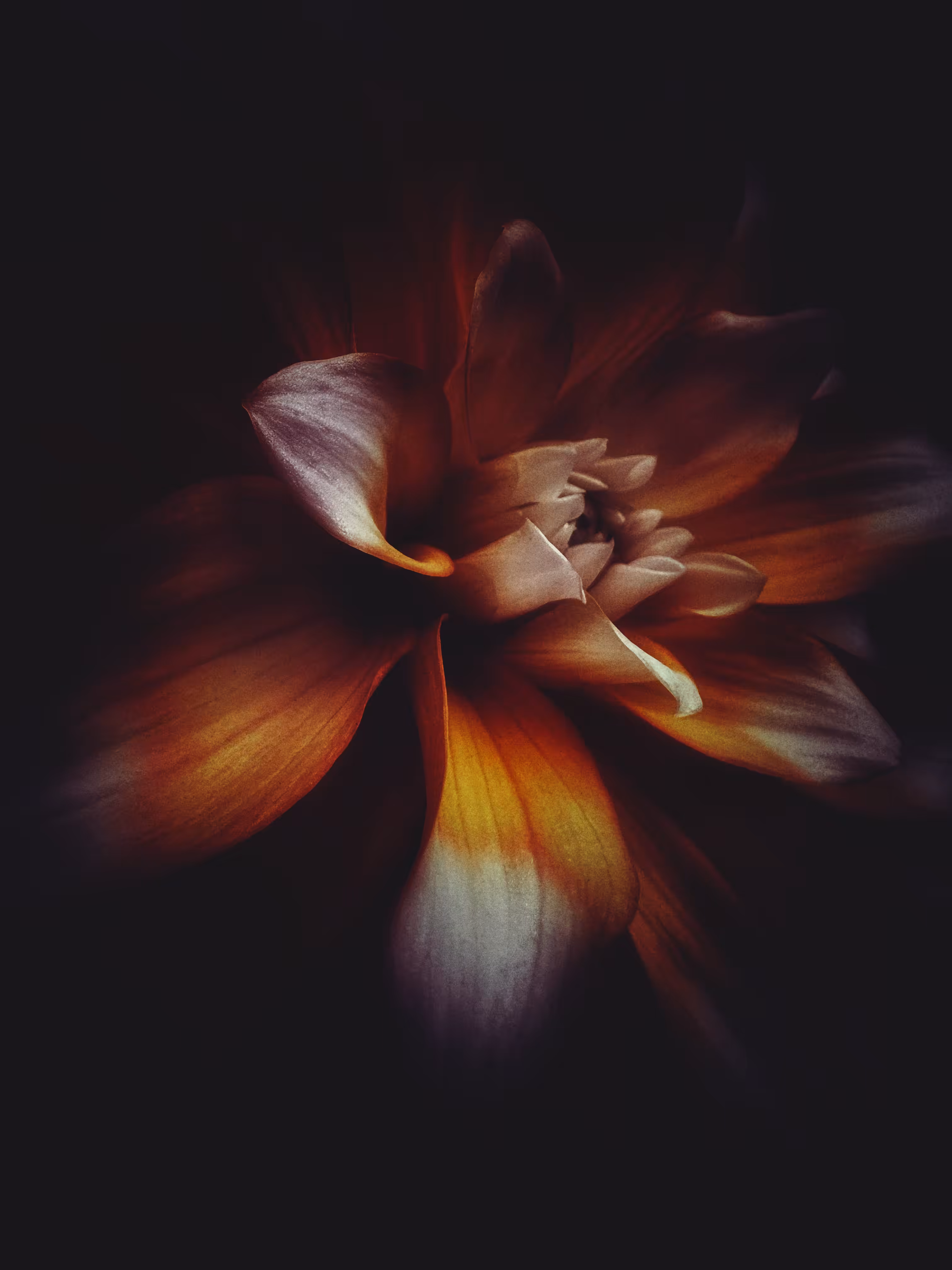 Transcending Light