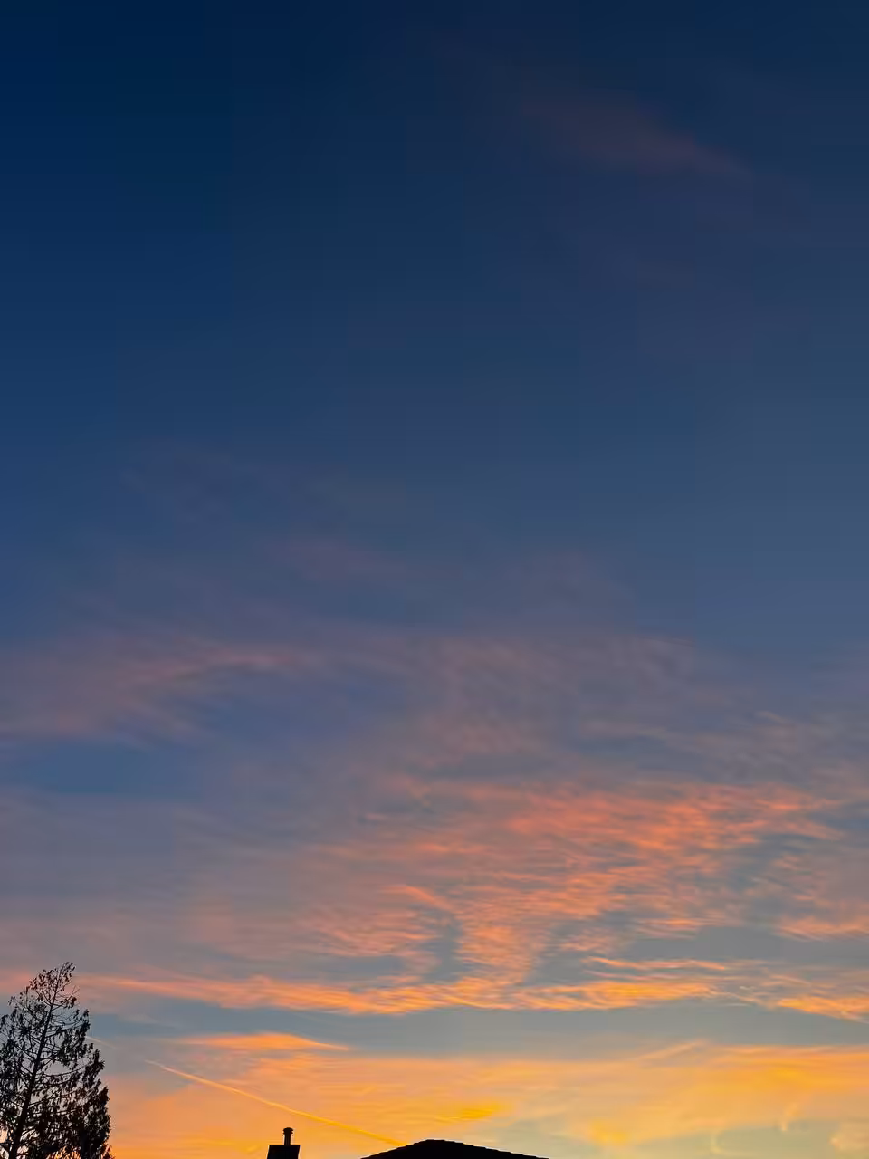Orange Mist