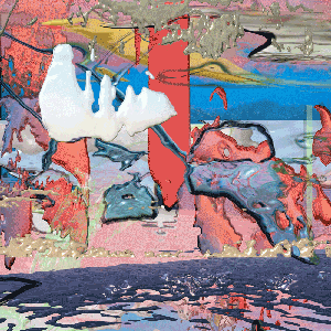 Bird Study, 2021