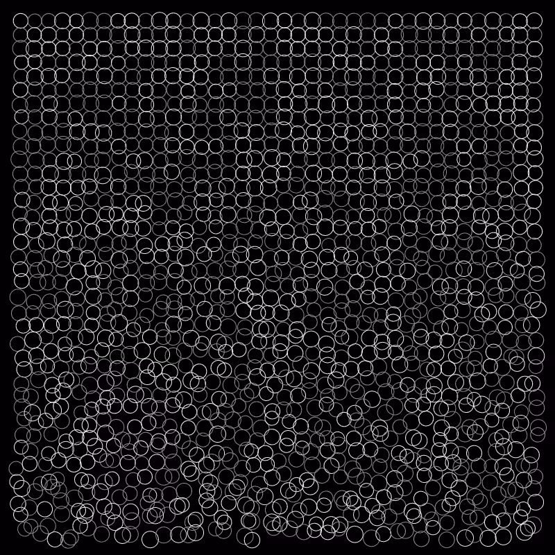 circles of life #42