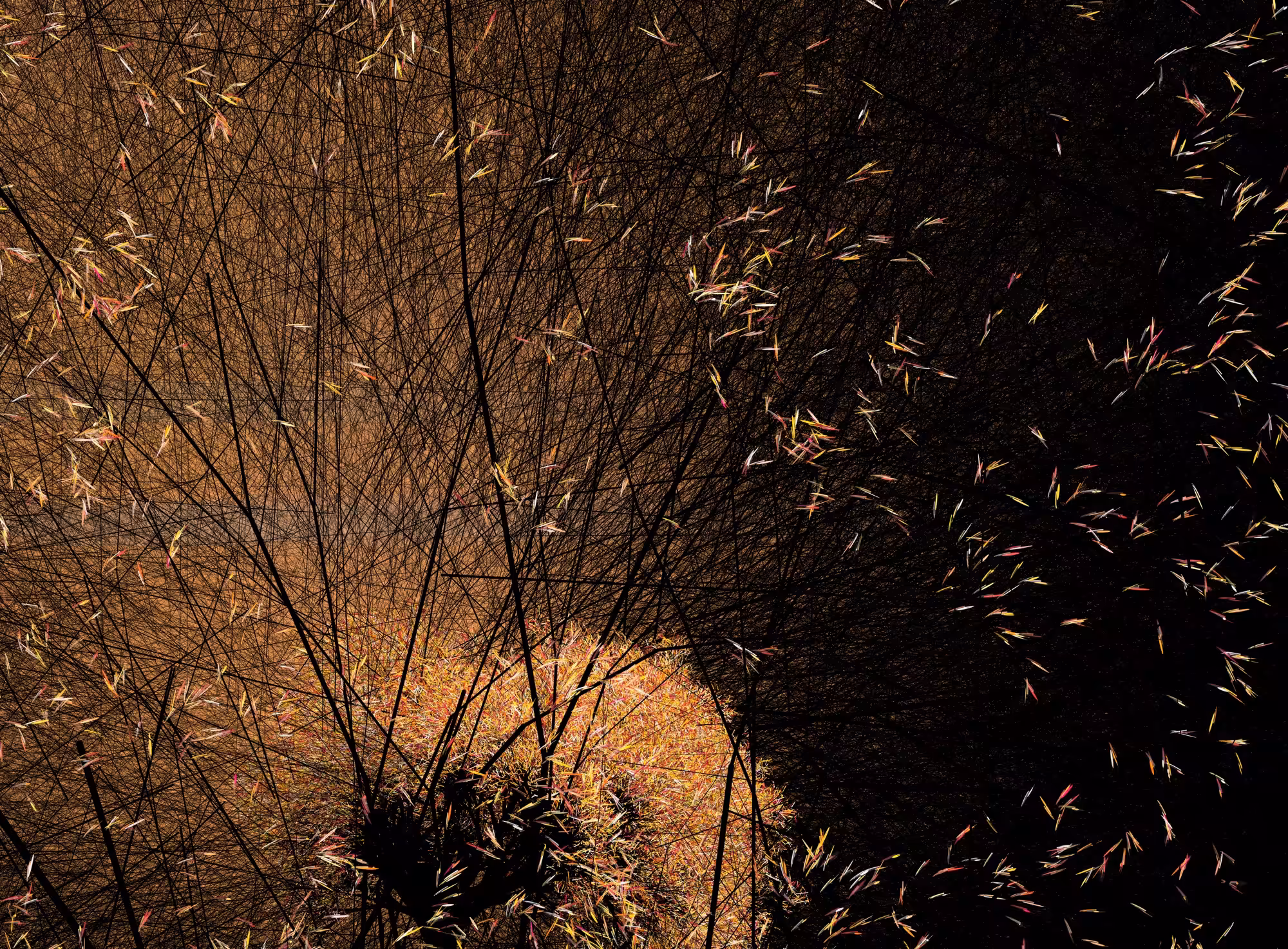 Rodeo posts: Autumn