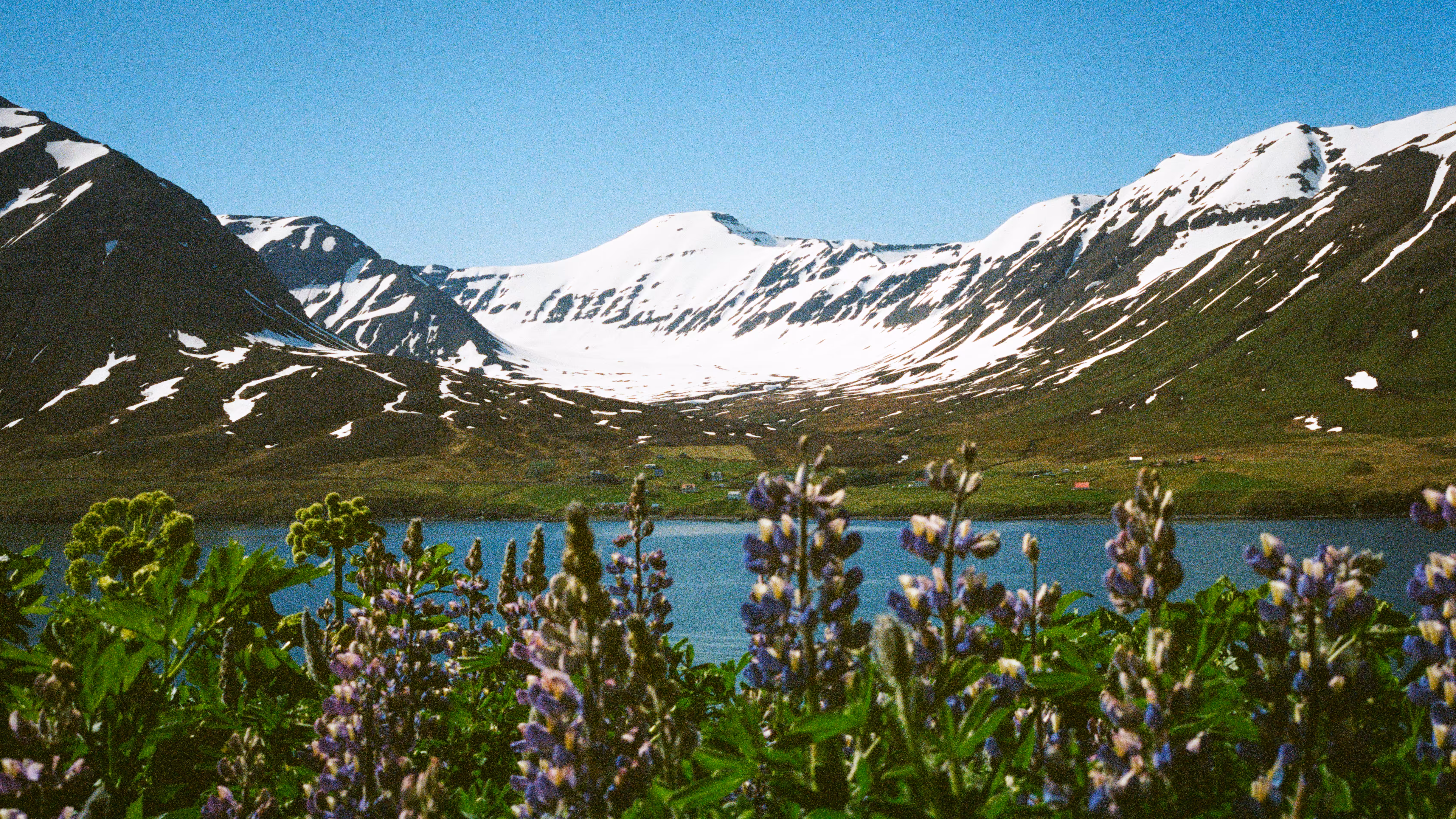 Ólafsfjörður
