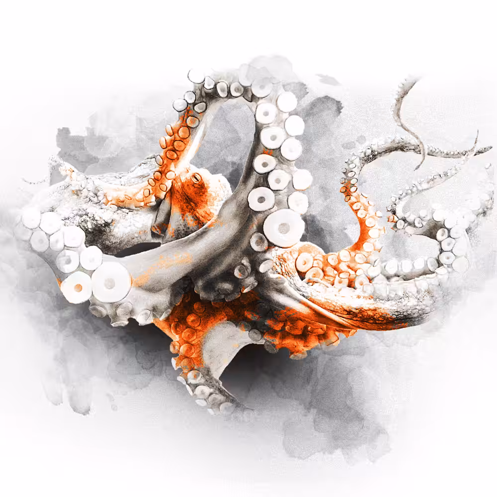 ORANGE SERIES - OCTO