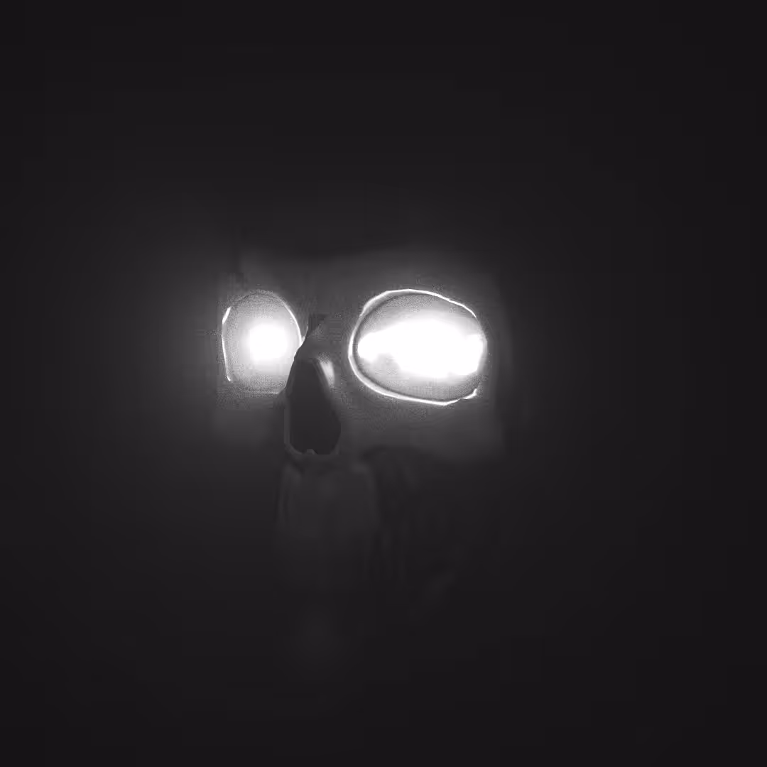 SKULL MONOCHROME