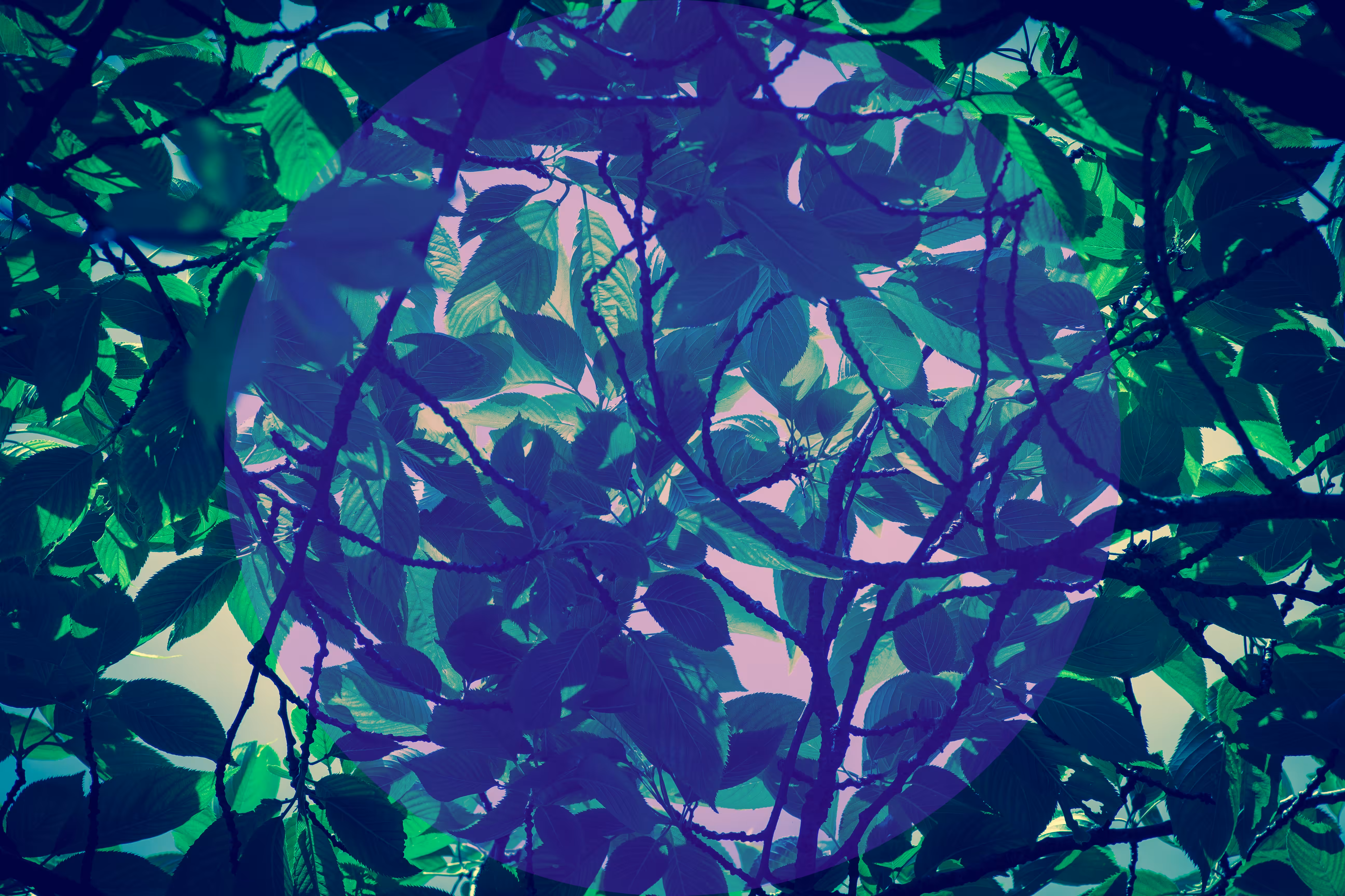 Foliage Sphere