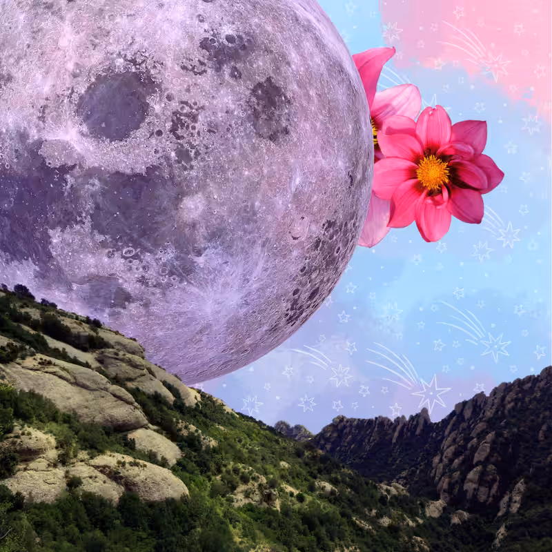 Pink Moon #17