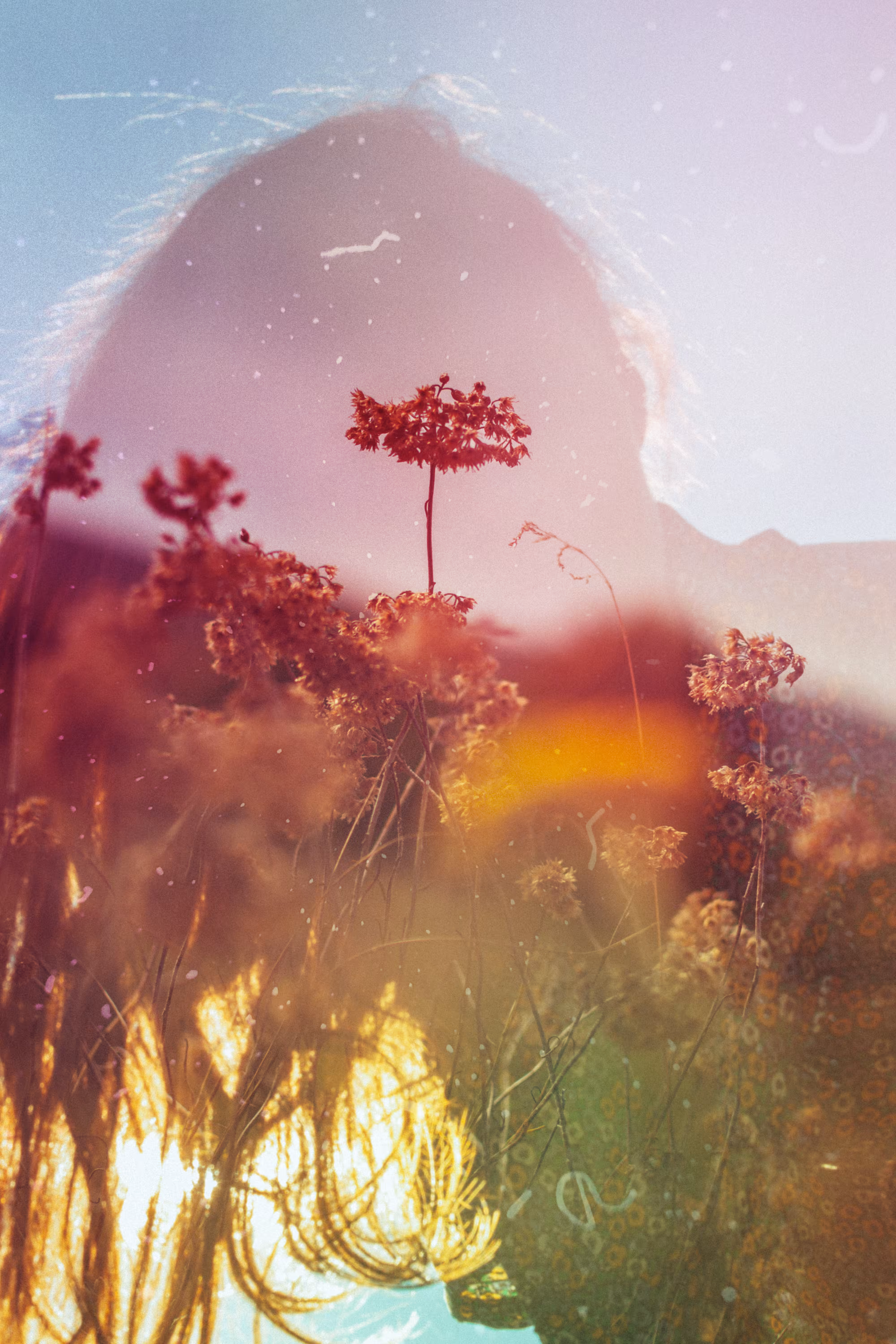 "touching nature from the inside"