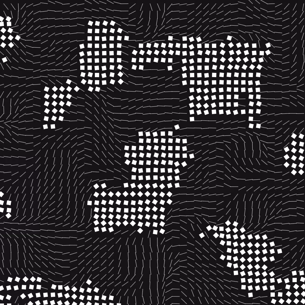 Geometric Fluidity #504