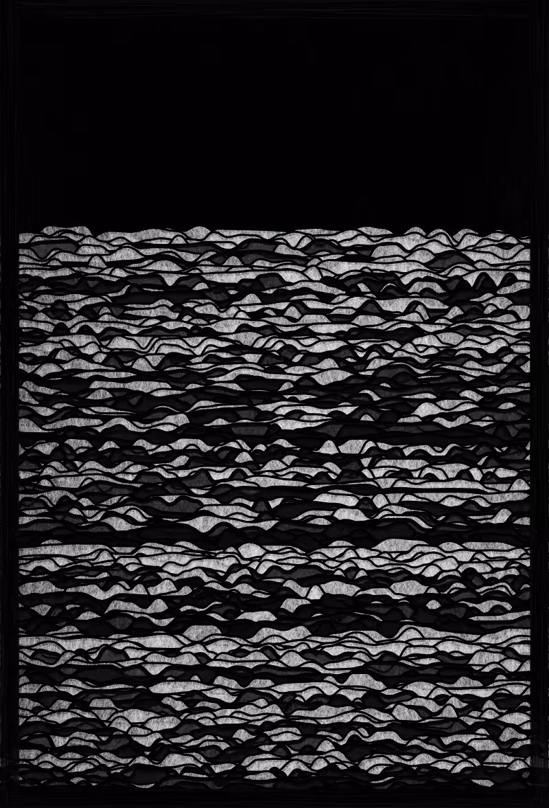 Ode to black and white #21