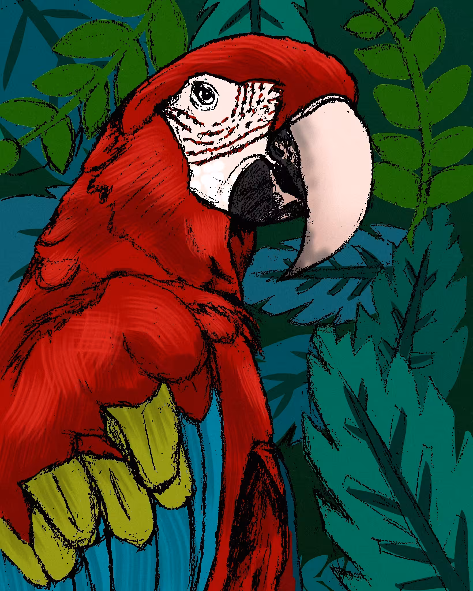 Art Of Abolfazl : A Parrot in the Abstract World 