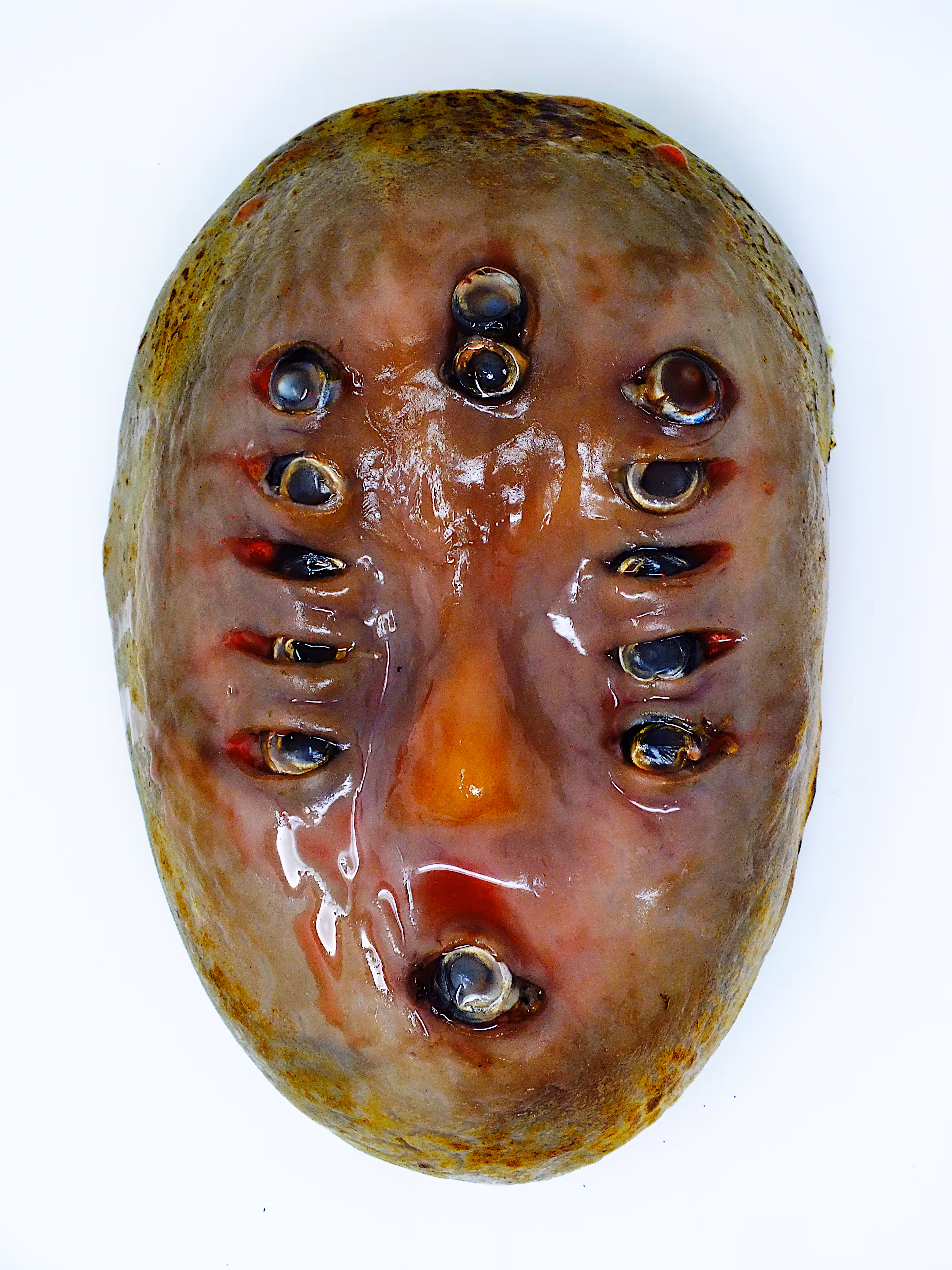 MASK