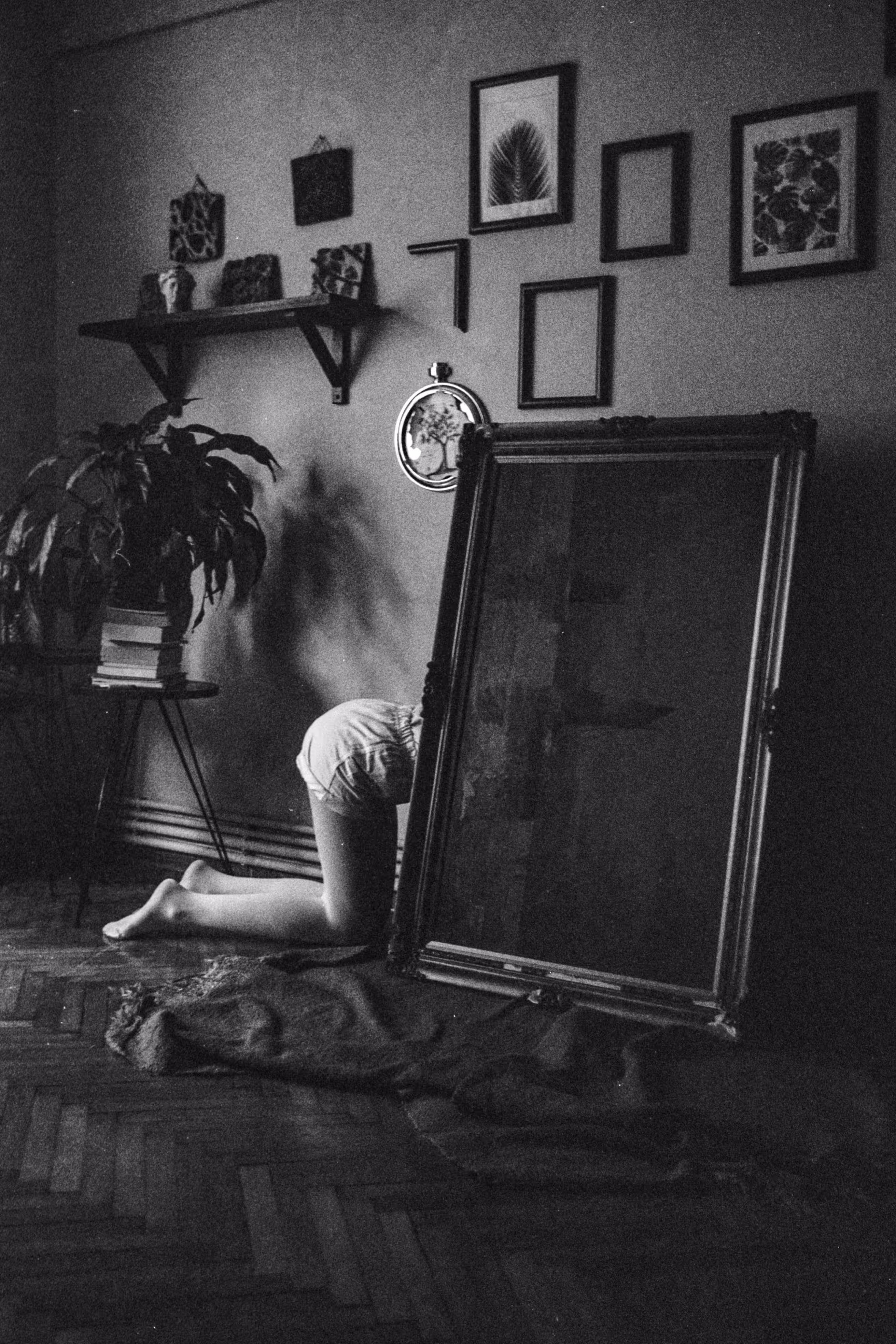 The Hidden Girl