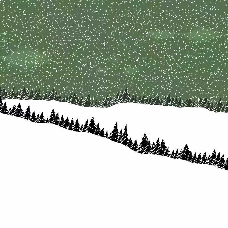 Winterland #173