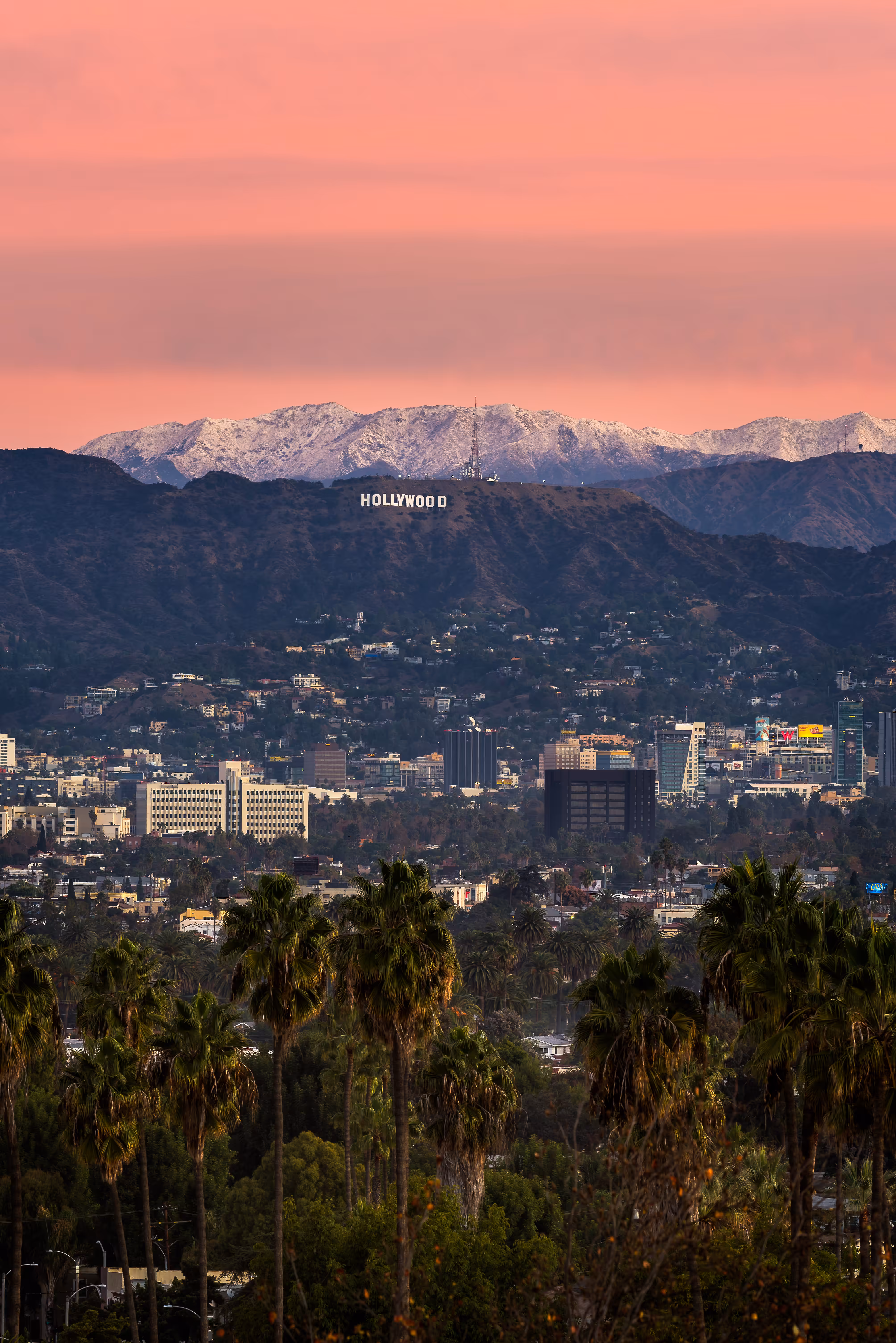 The Hills