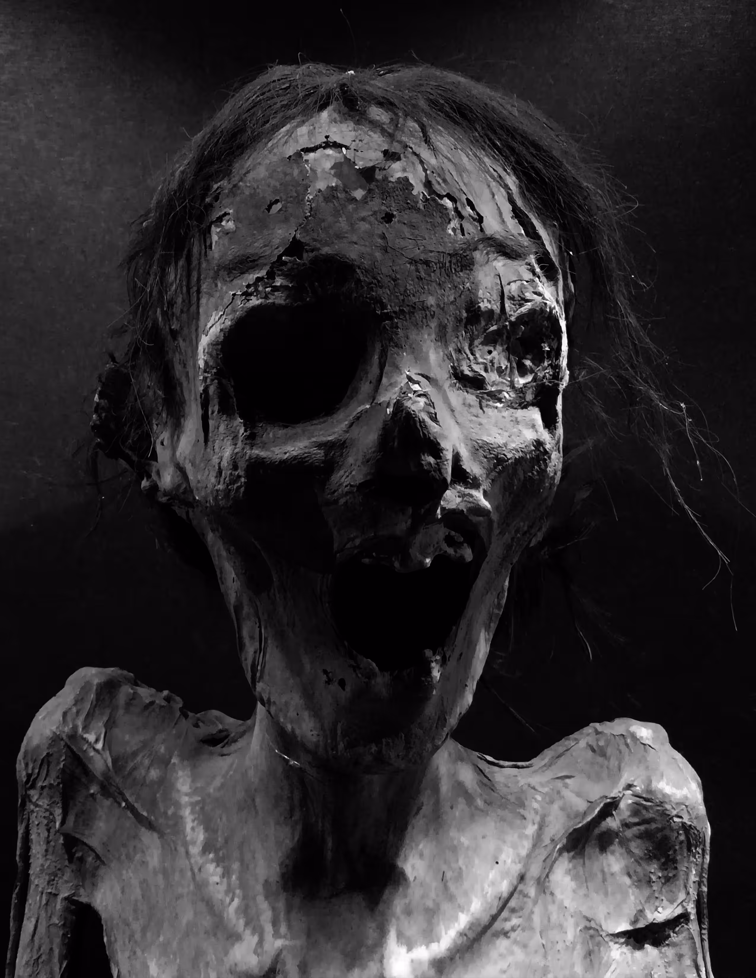 gertrude | gertrudis