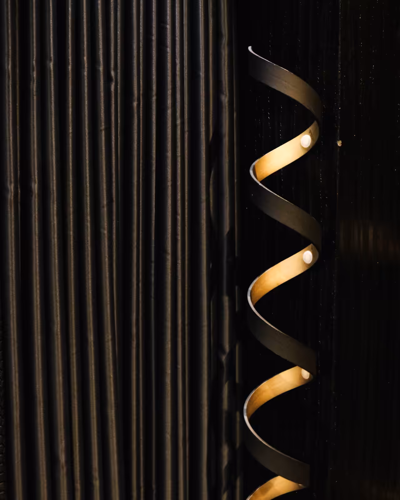 lines,curves and lights