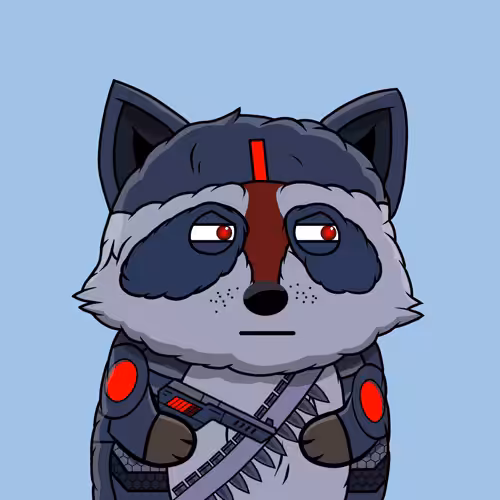 Special Raccoons: Giveaway Raccoon #3