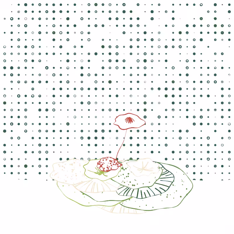 The Good Corals #115