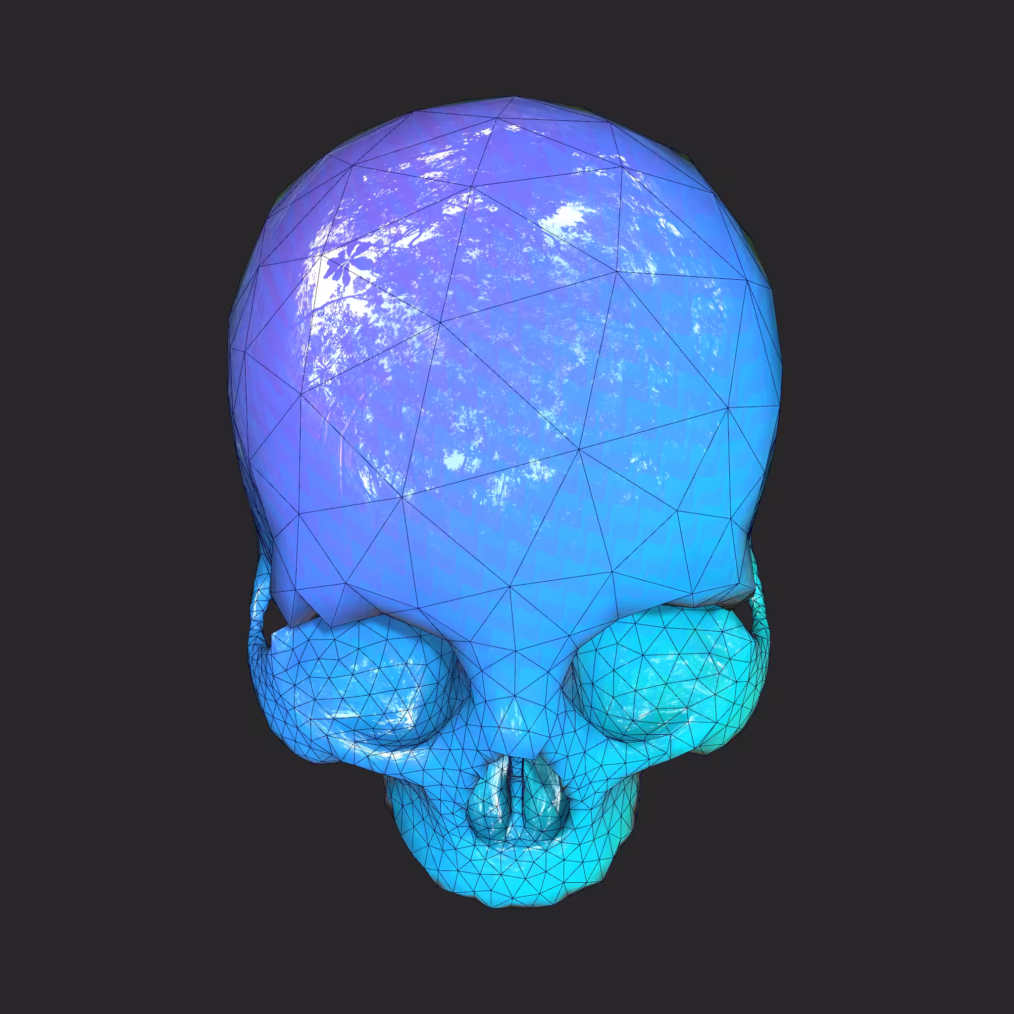 Bear Skulls #95 by capnganj