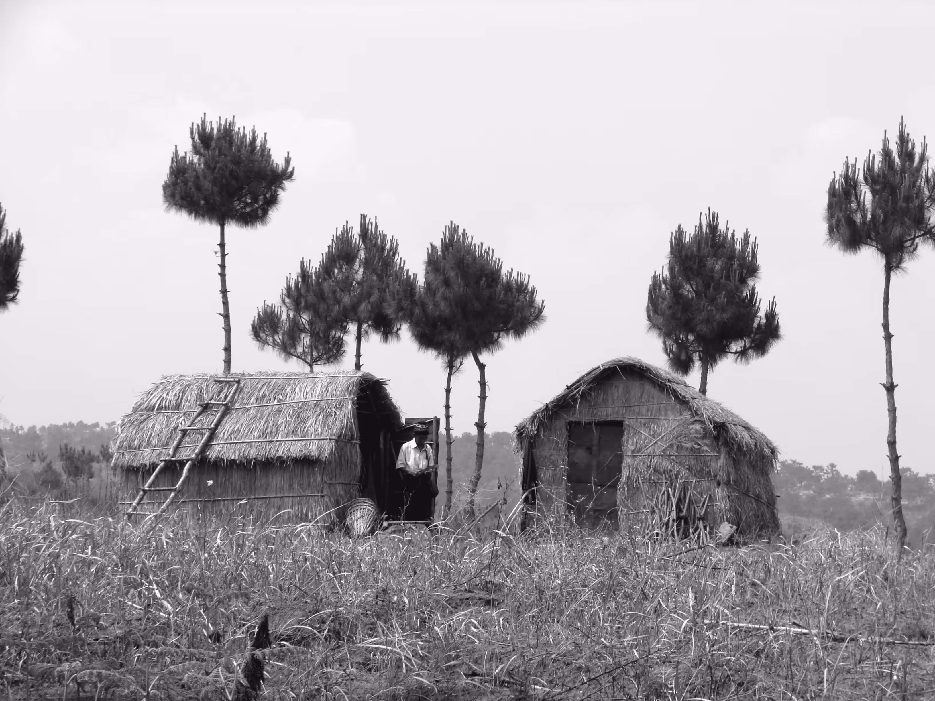 Huts