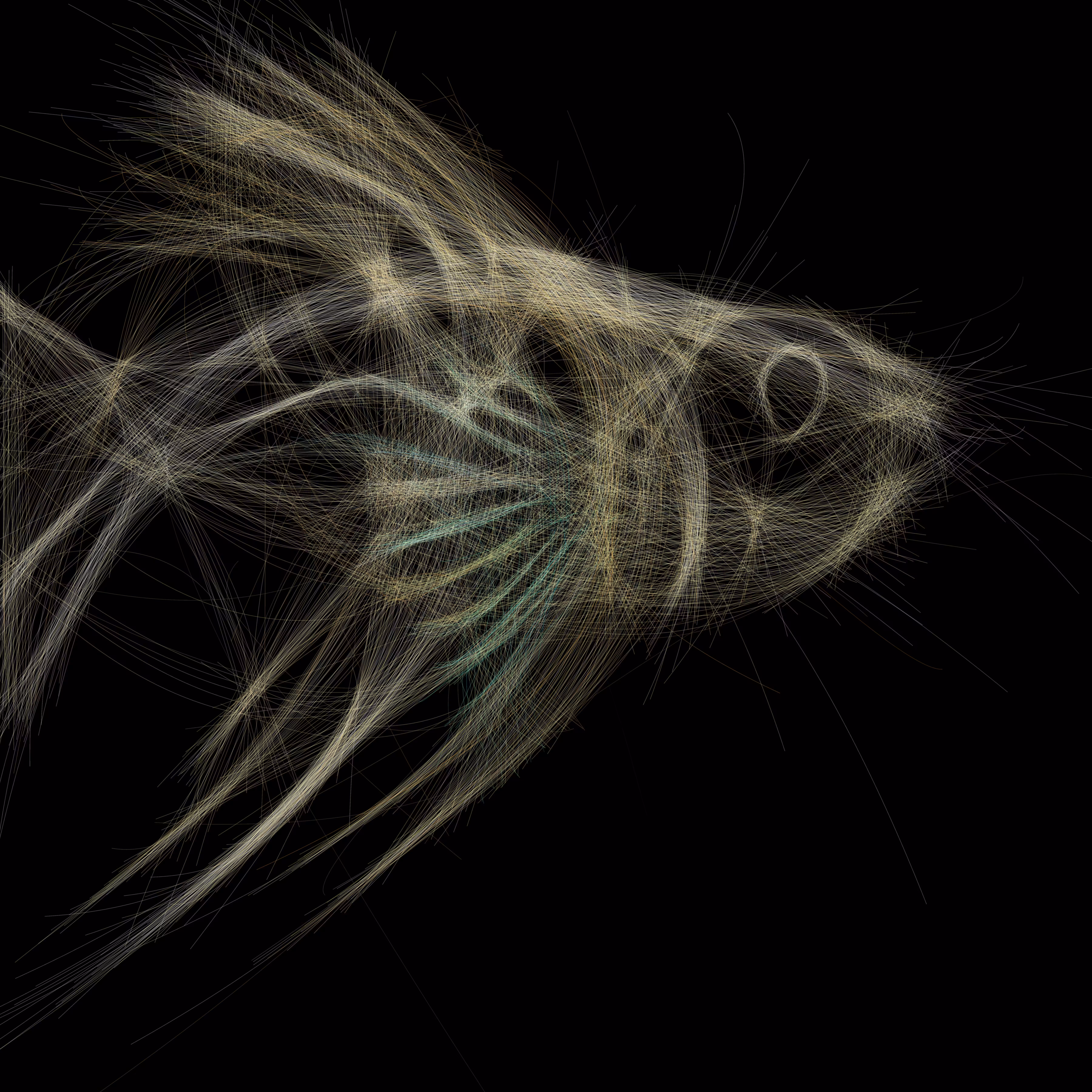 UNDERWATER: Underwater 78