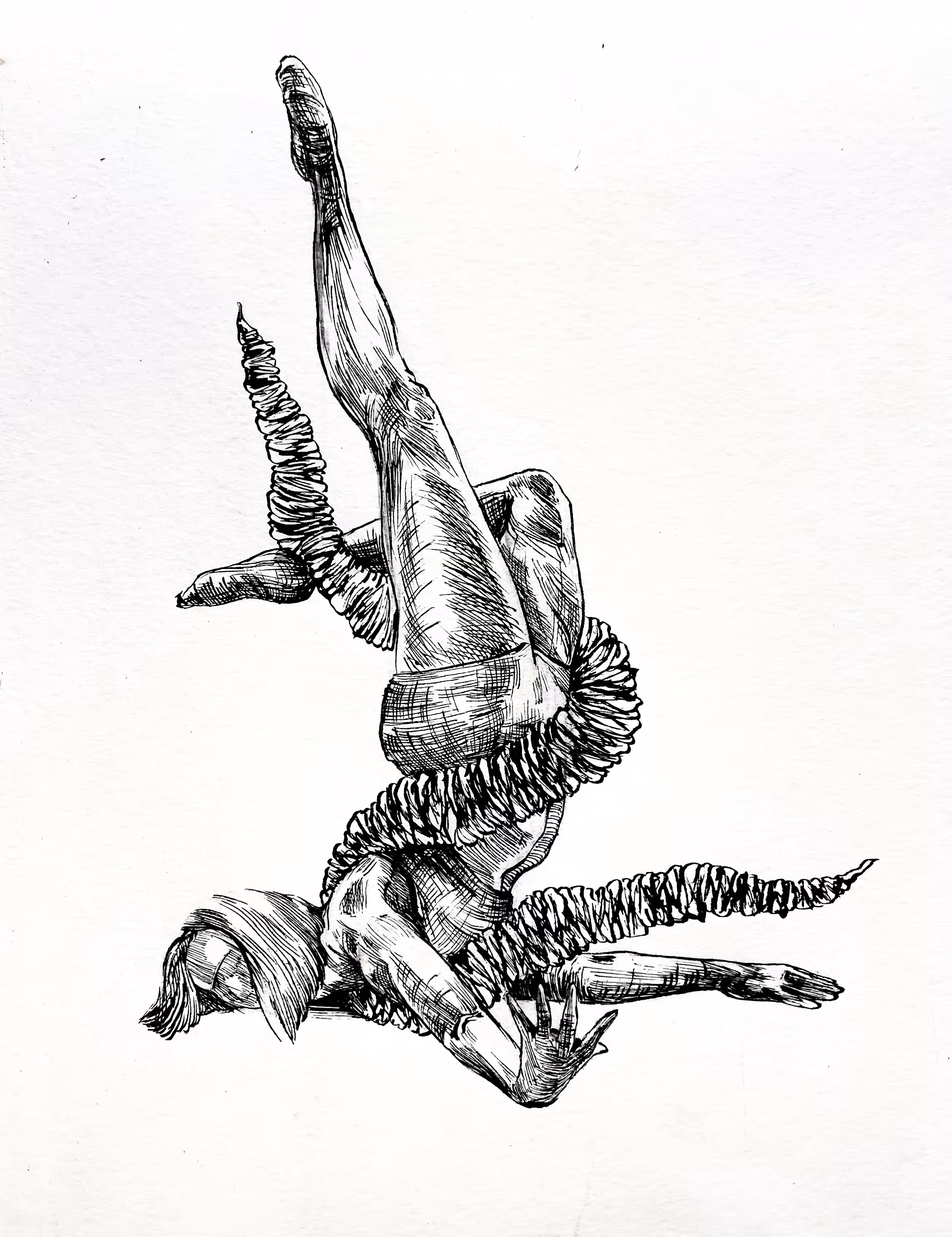 BALLERINA 