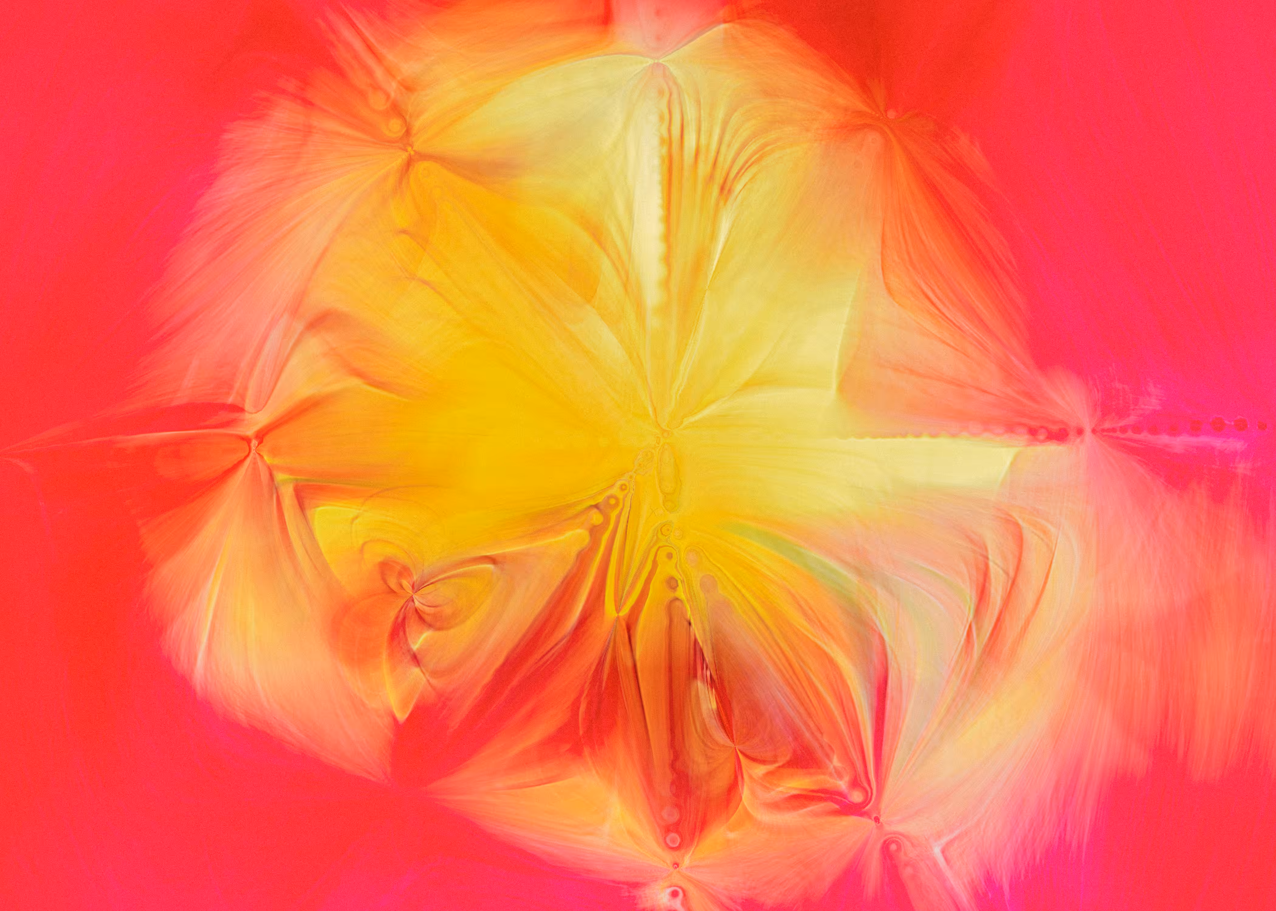 Floral Freedom