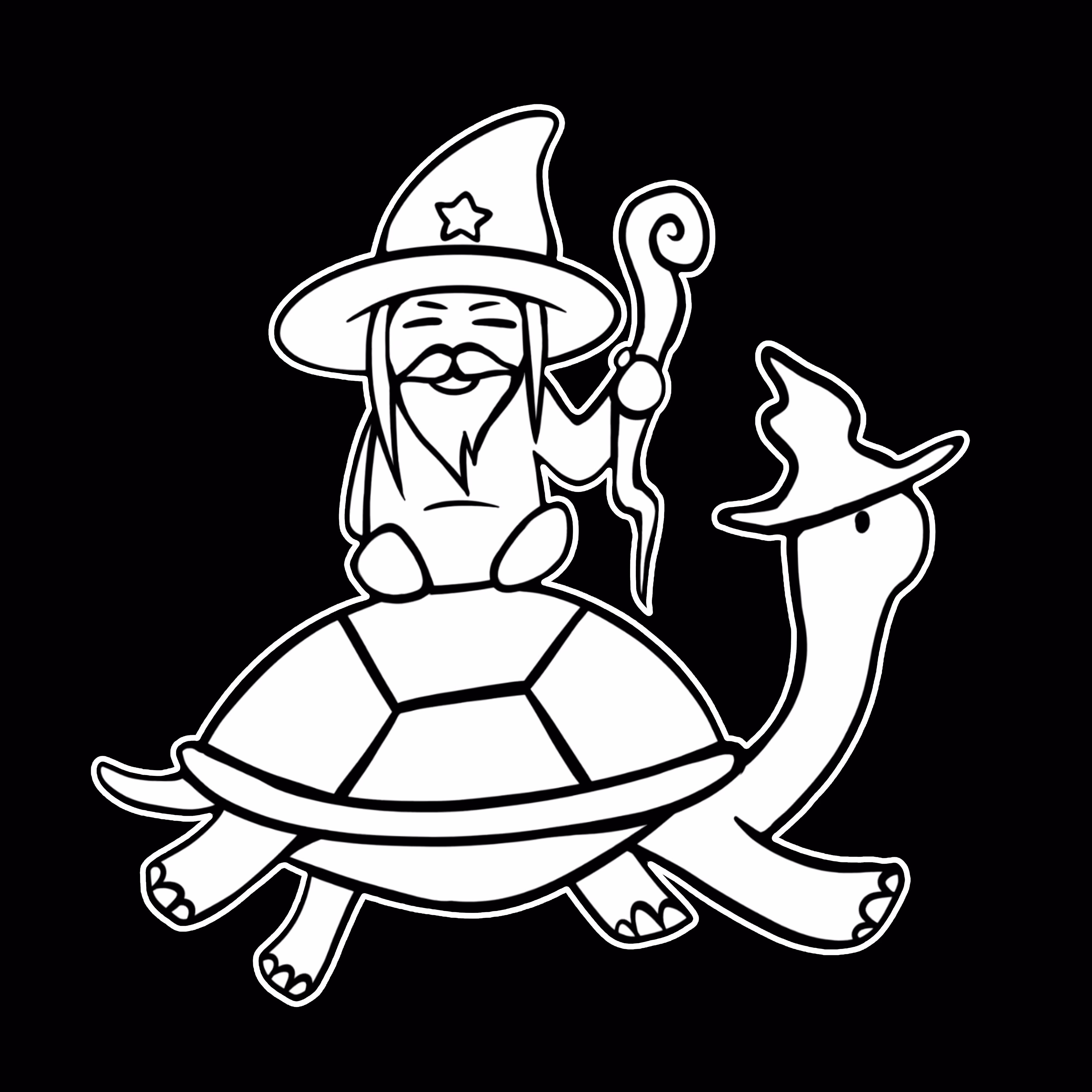 Wizard and Turtle