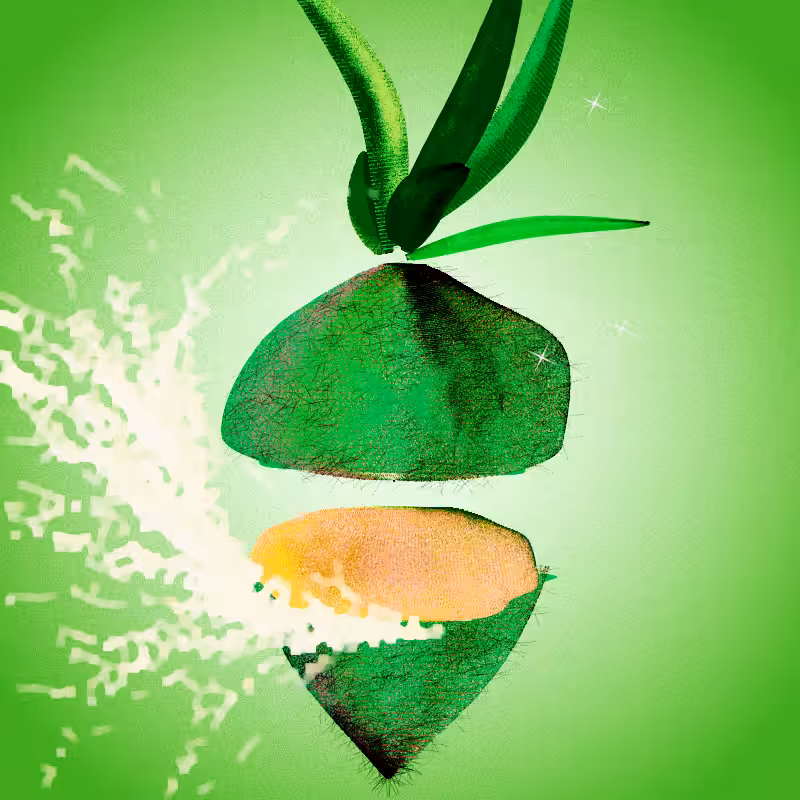 Fresh Fruit #3