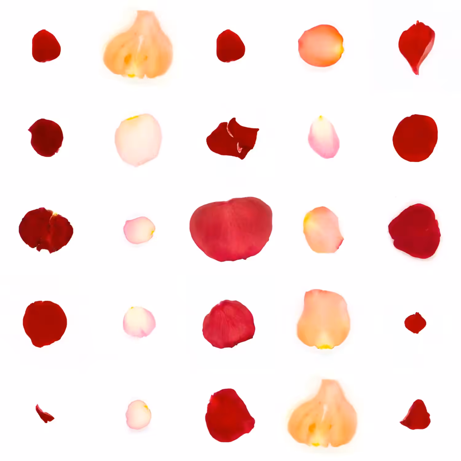 Infinite Petals 5x5#21721