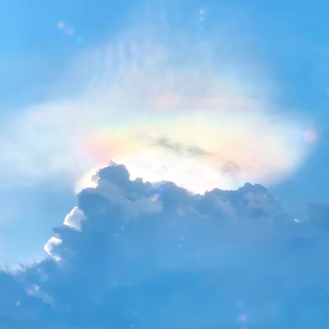 I saw the rainbow today