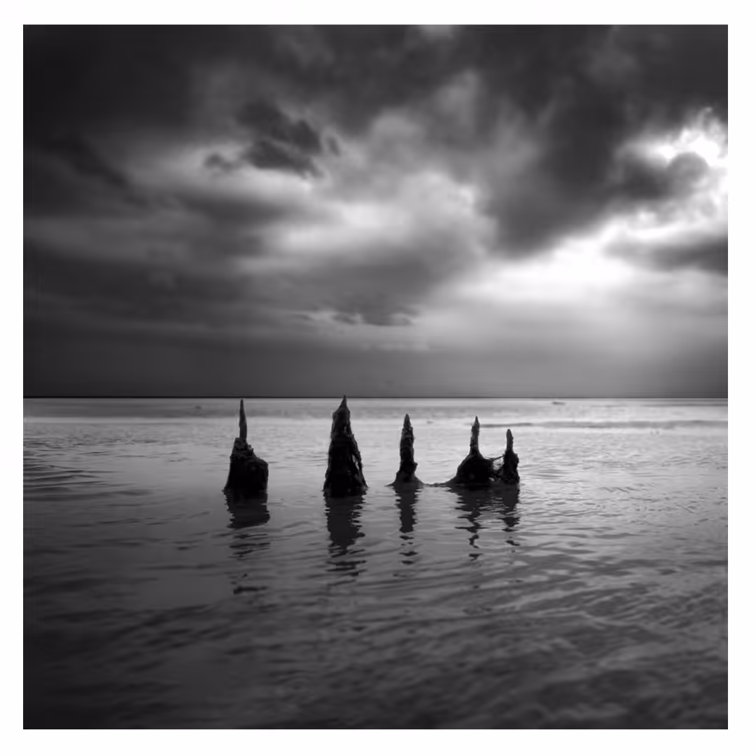  Sea