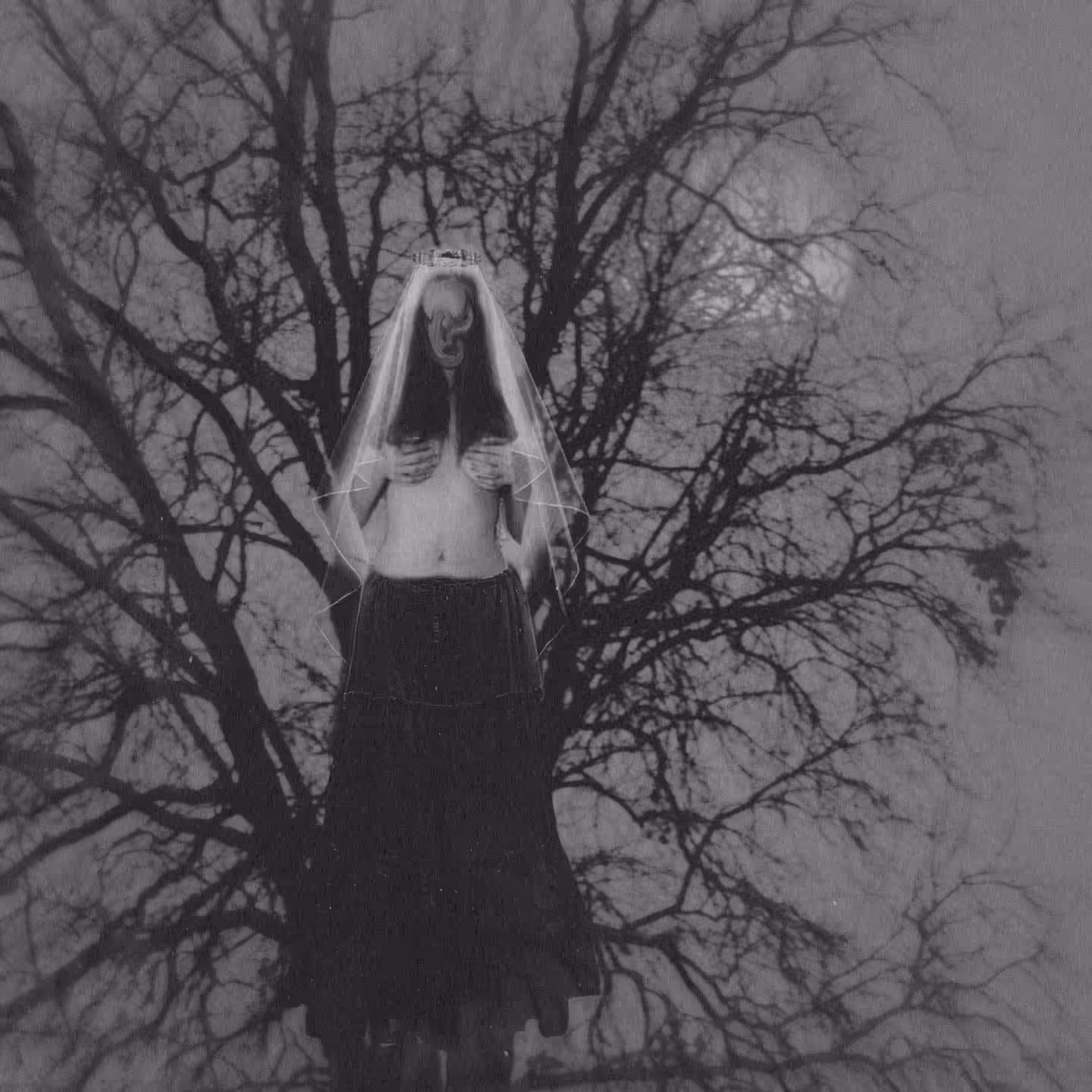 Bride of darkness 
