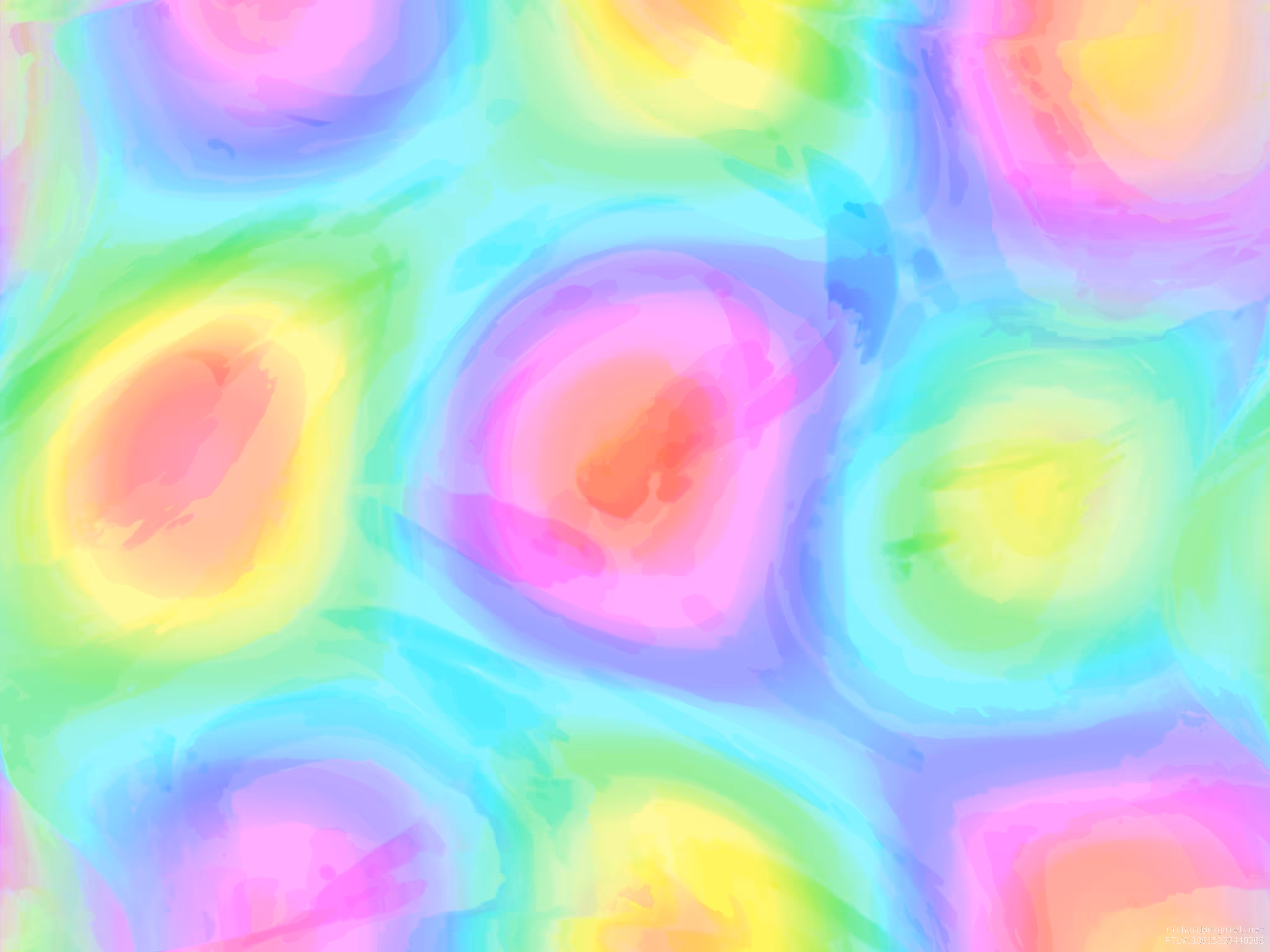 Flower Field 2011-2
