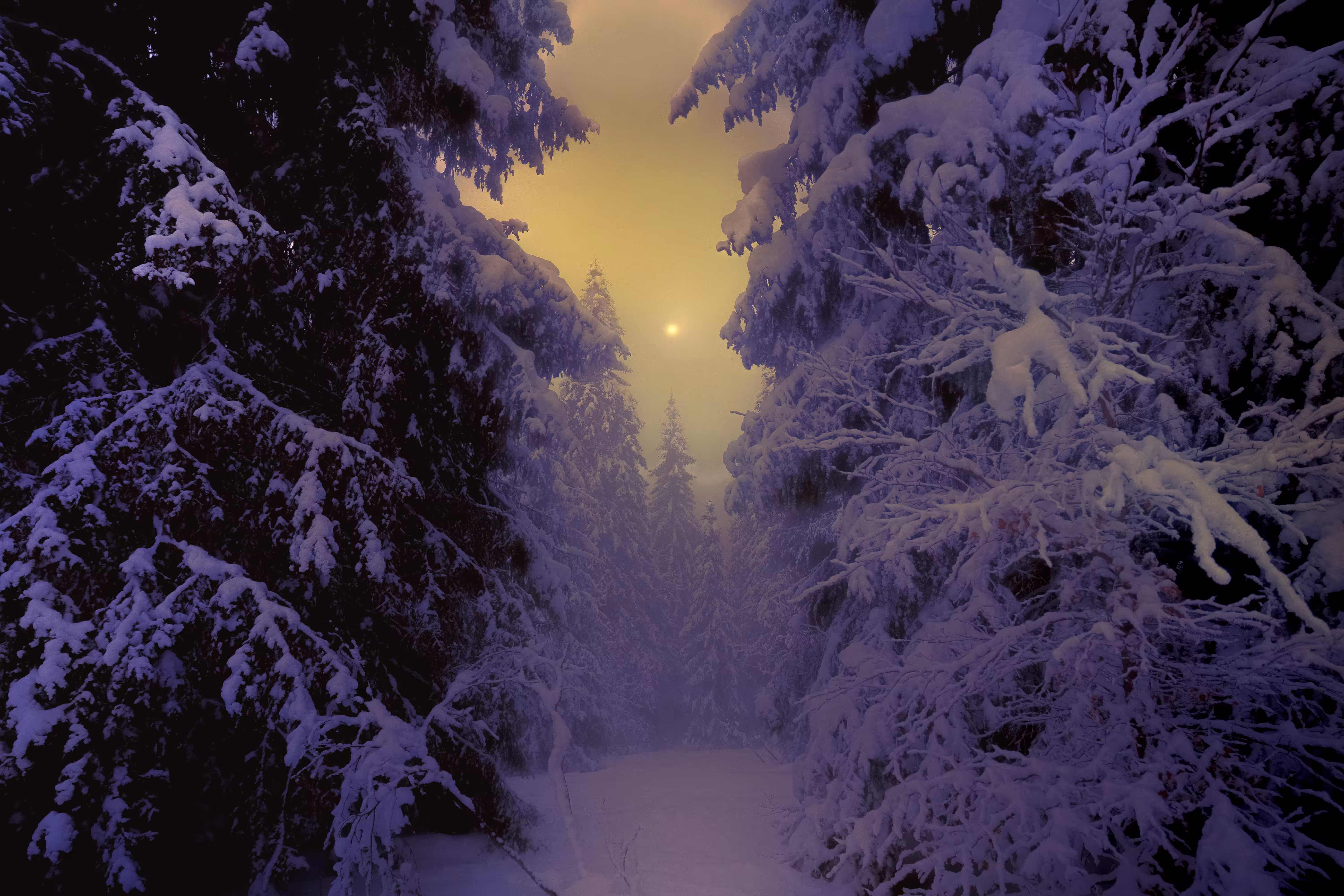 What We Leave In The Cold: Wherever You Are, I Will Follow